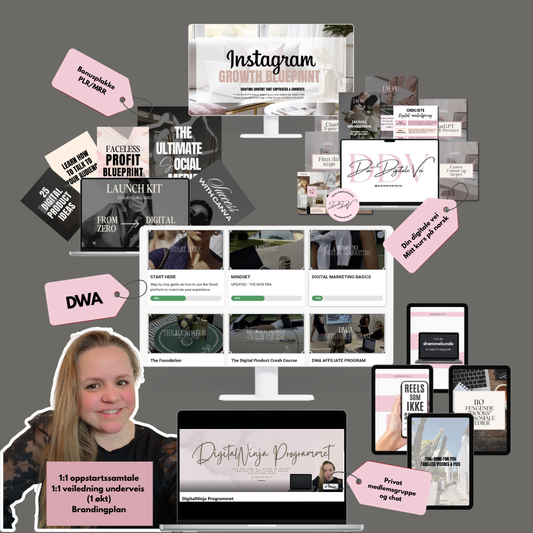 DigitalNinja Programmet - Bygg din digitale inntekt med trygghet, plan og støtte