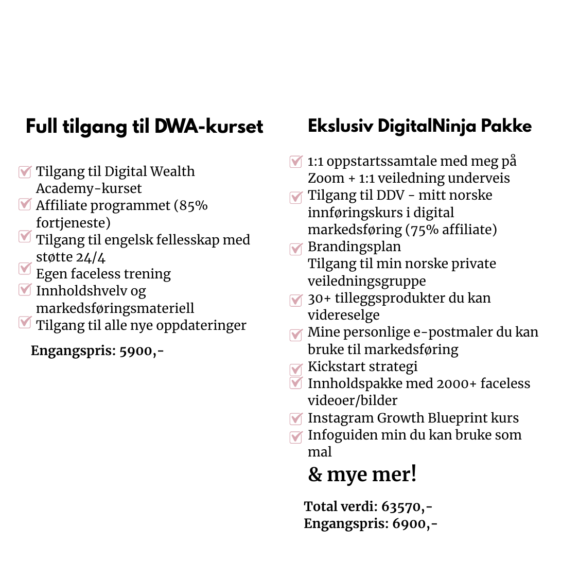 DigitalNinja Programmet - Bygg din digitale inntekt med trygghet, plan og støtte