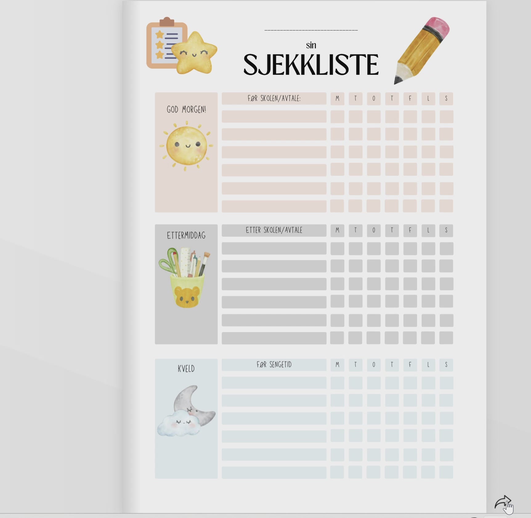 Video sjekkliste